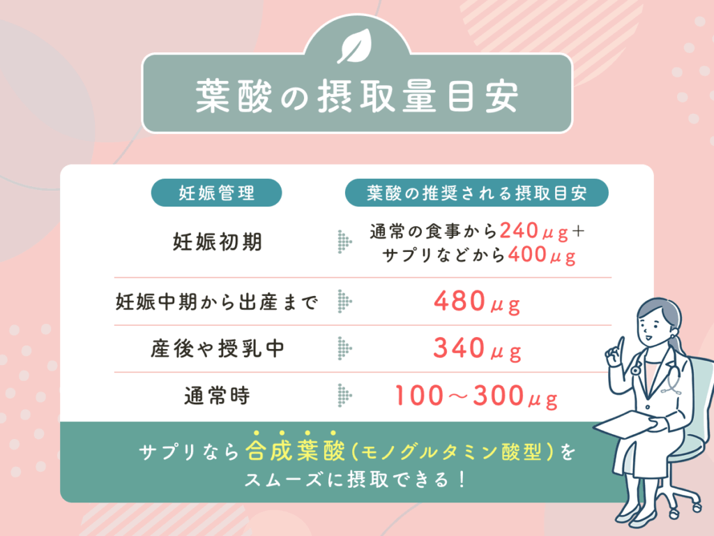 葉酸の摂取量目安

