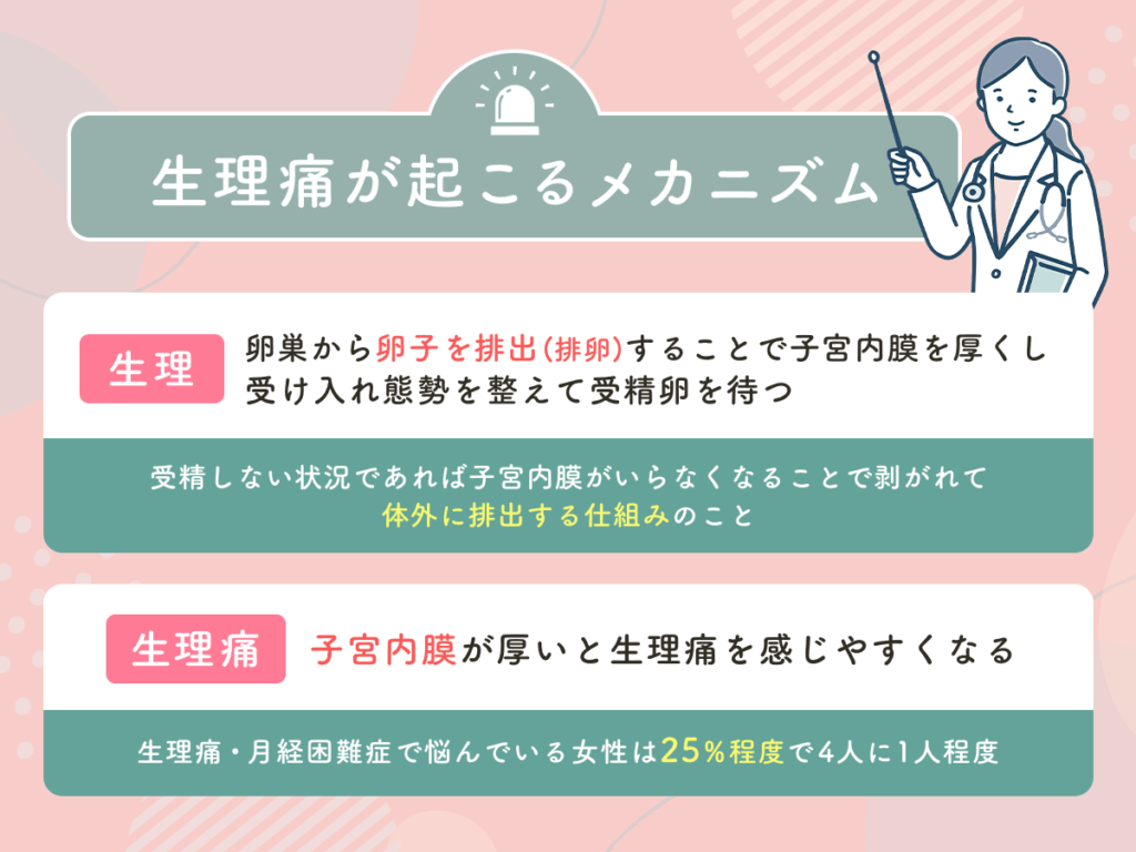 生理痛が起こるメカニズムと原因