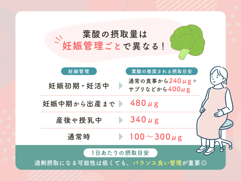 妊活・妊娠中の推奨される葉酸の摂取量